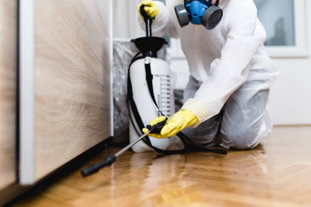Best Flea Control Services  in Corning, CA