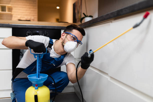 Pest Prevention Services in Corning, CA