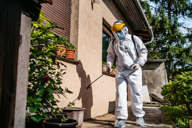 Best Commercial Pest Control Services  in Corning, CA