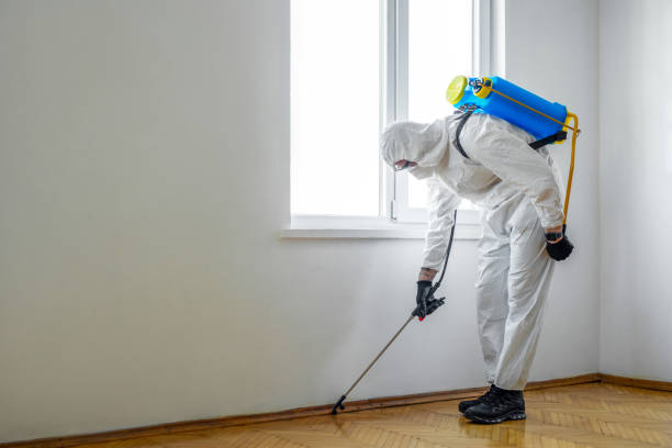 Best Best Pest Control Companies  in Corning, CA