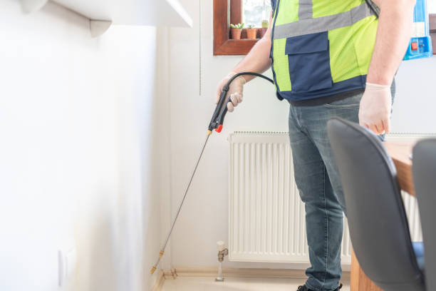 Best Insect Control  in Corning, CA